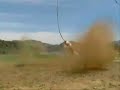 The Best of The Jackass Movies