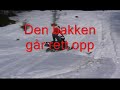 Eivind Haugen