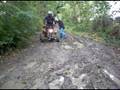 quad