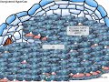 Clam Igloo at swimm jim!