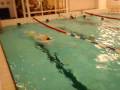 videos de Torpedo ds2
