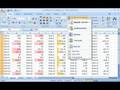 Excel 2007 Demo-Data takes shape with conditional formatting