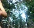 Ant`s Attack vs Death Proof