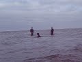 Sandy beach surf-zone sampling Sandy beach surf-zone sampling