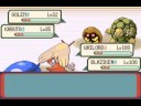 Pokemon Emerald - Beating Roxane(agian)