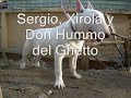 paseo club bull training