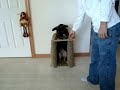 Готов есть