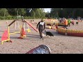 Laura & Metku Agility 30.8.2008