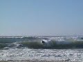 videos Surf