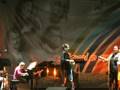 videos de prove premio  anthurium a lamezia terme