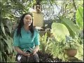 UNICEF: cerita Putu Ayu - serial harapan & dukungan (bag.5)