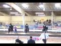 Via Jero - Wins Performance Stallions