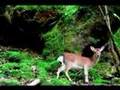 2008年7月2日DAISHI DANCE the ジブリ set発売