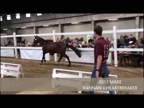 HEADS UP CDL FLANDERS FREE JUMP OCTOBER 2019