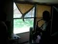Luis Carlos y Alfredo tocando