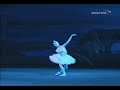 Six swans (Svetlana Zakharova)- Videobalet.net collection