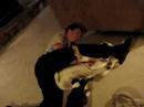 Steven Balue fighting his dog