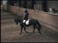 Acadius Girl LB:3 dressyr Acadius Girl LB:3 dressyr