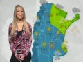Pronóstico para el 17 al 19 de julio de 2010 - Infoclima TV