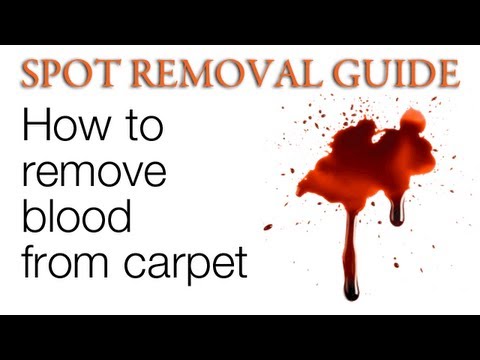 how to get blood out of carpet