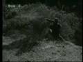 Fransa'nın Cezayir Soykırımı (Genocide by France) (8)