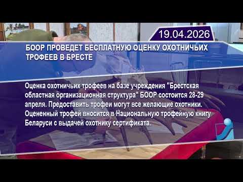 Новостная лента Телеканала Интекс 19.04.26.