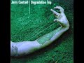 Jerry Cantrell - Castaway