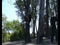 nathan barris 2007 showreel