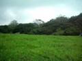 cerro 5
