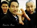 Beastie Boys - Honky Rink NEW 2007 Beastie Boys - Honky Rink NEW 2007
