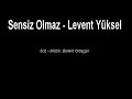 Sensiz Olmaz - Levent Y�ksel