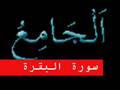 سورة البقرة part 5