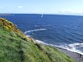 Kite surfer at Dallas Road, Victoria BC