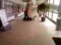 videos de RS fight.3gp