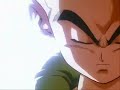 tribute to fusion characters