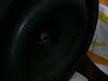 logitech z-5500 bass test 10-29 cycles logitech z-5500 bass test 10-29 cycles