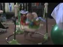 Rainforest Bouncy