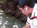 Feeding Fish