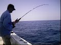 Northeast Florida Red Snapper Fishing, 15 lb. Release