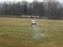 As 350 raptor 50