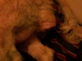 Ki`i giving birth
