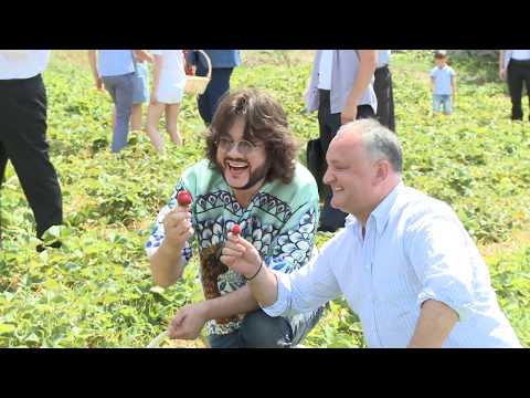 Игорь Додон вместе с Филиппом Киркоровым открыли V Фестиваль клубники и меда