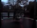 videos de playing up again