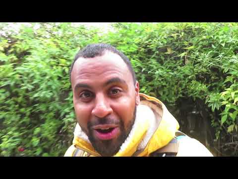 November 20 2020, Vlog