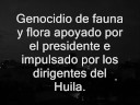 QUIMBO edicion QUIMBO edicion