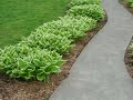 Gardening Ideas from Public Spaces Gardening Ideas from Public Spaces