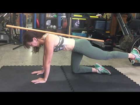 How to… Bird Dog Beginner