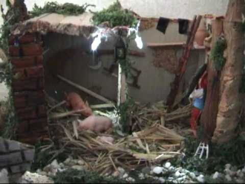 Guarda il video