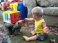 Teasing the Dog
