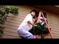 videos de A Redneck Christmas (WATCH IN HIGH QUALITY)